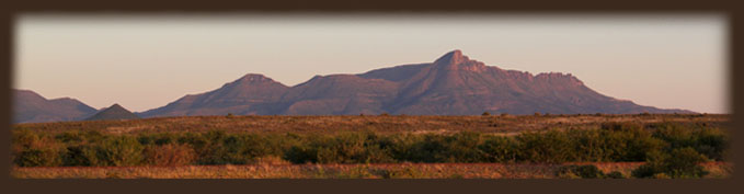 Index mini header
