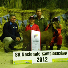 Junior Champion Doe